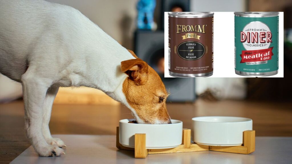 Dog Food Recall Alert Fromm Pulls Turkey Pâté and Milo’s Meatloaf Cans Nationwide Over Potential Metal Contamination