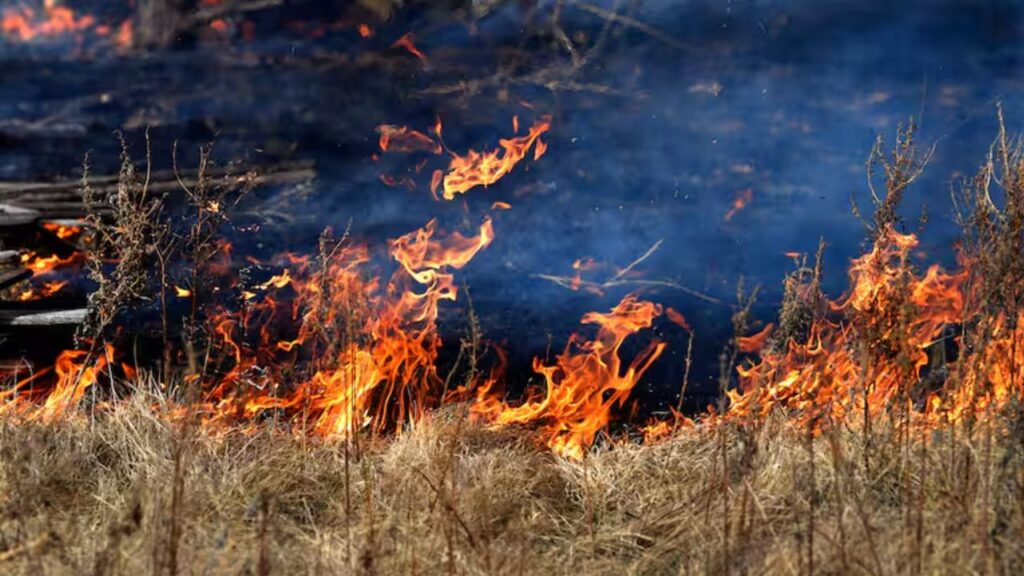 Heat, Drought and Lightning Put Texas, Nevada, California and Washington on Alert as Wildfire Threat Intensifies Across the Wes