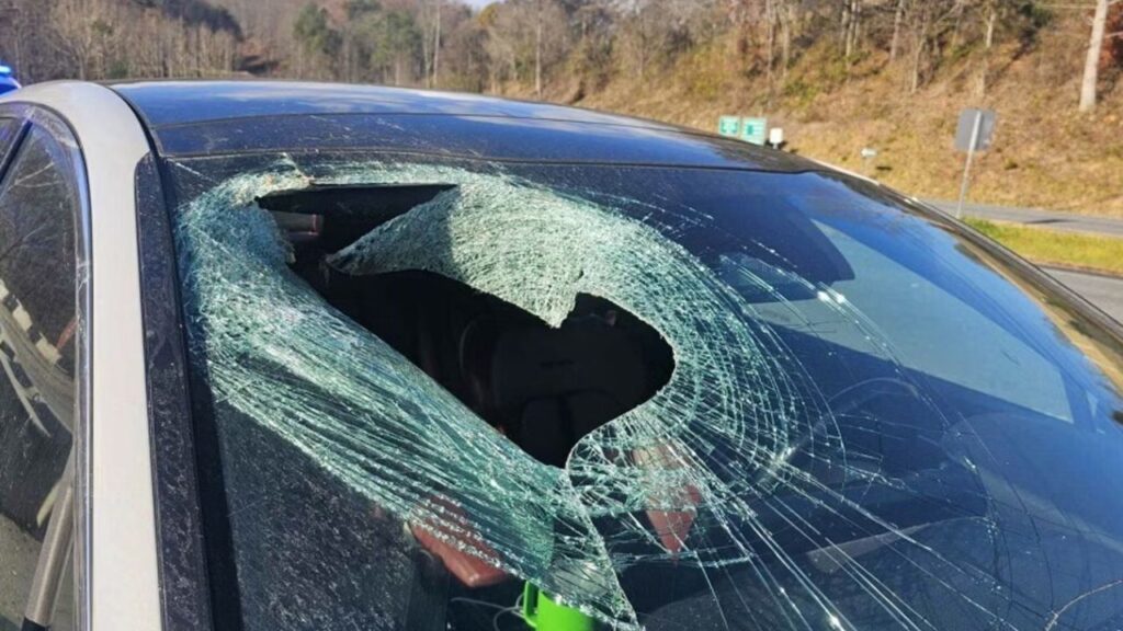 81 Cars Left With Smashed Windshields After Virginia Man Allegedly Goes on Parking Lot Vandalism Spree
