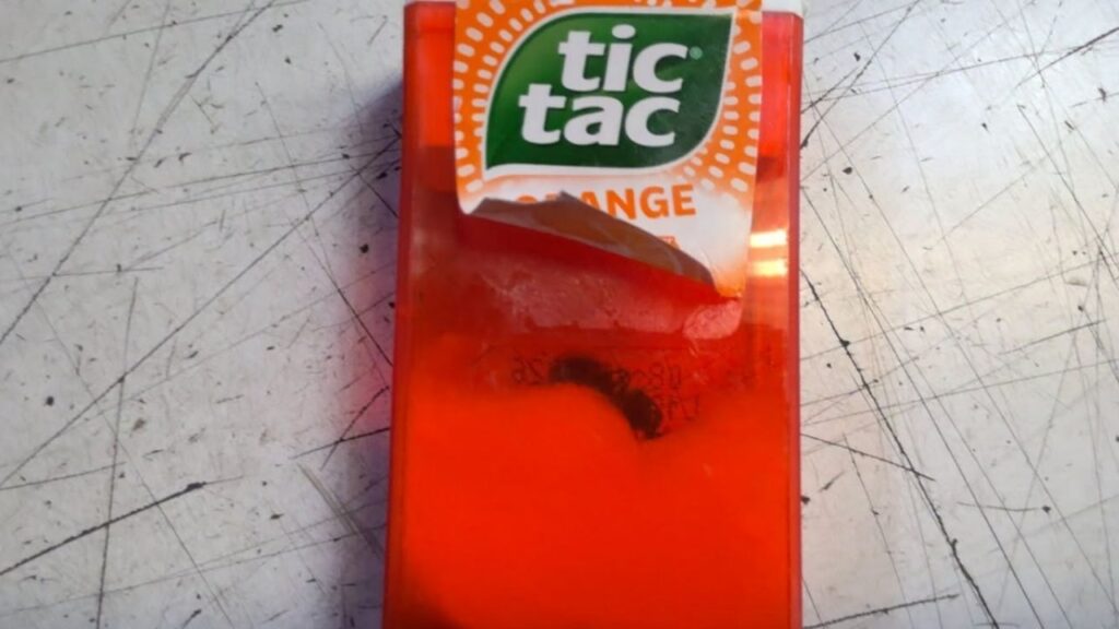CBP Finds Live Insects Inside Tic Tac Containers During Shipment Inspection at Los Angeles Port