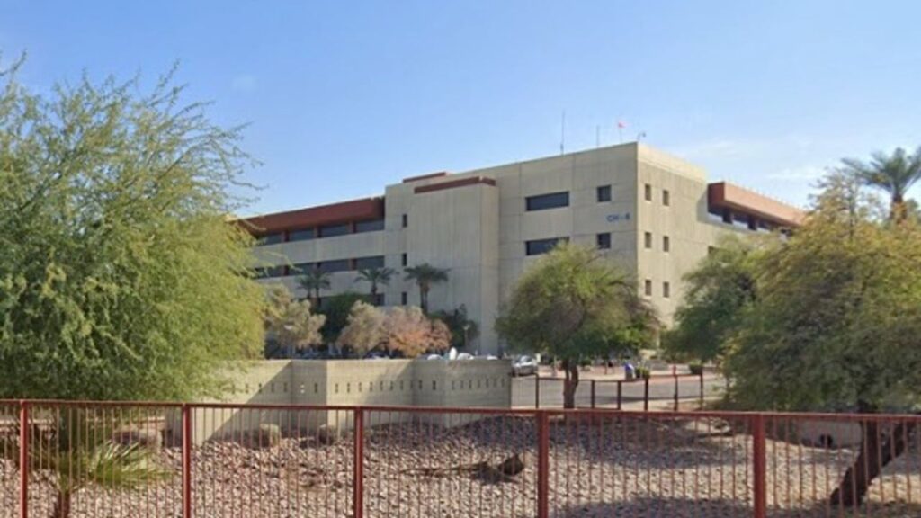 Employees Under Attack as Huge Bee Swarm Invades Intel Campus in Arizona, 3 Hospitalized