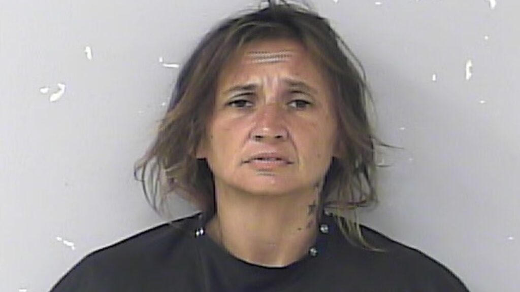 Florida Woman Allegedly Steals Police Cruiser and Drives 100 Miles Before Deputies Catch Her