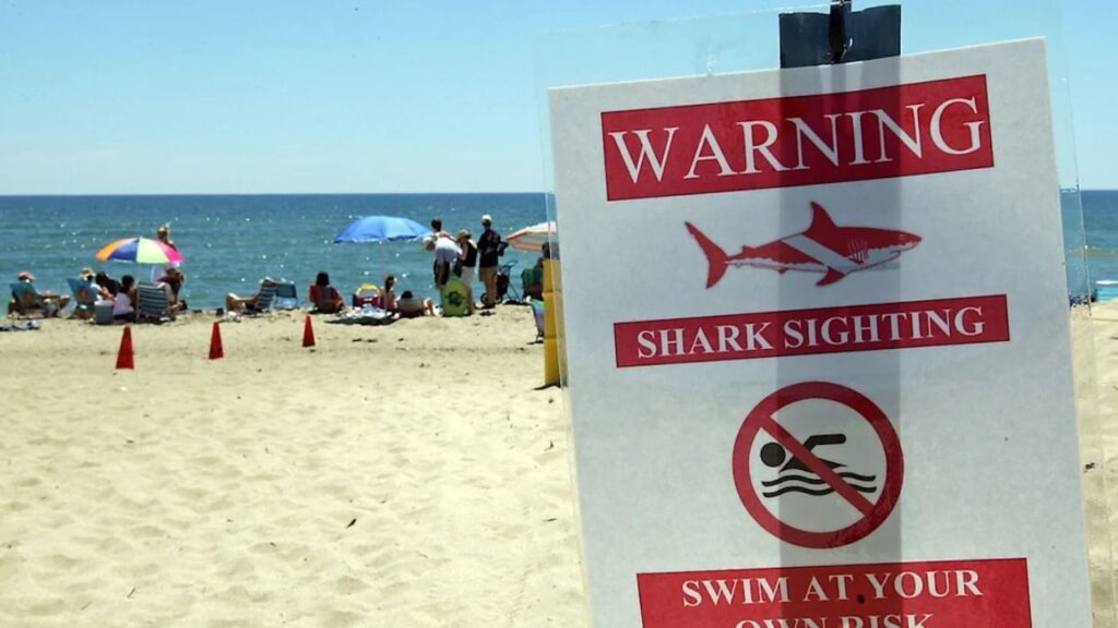 Martha’s Vineyard Swimmer Suffers Lower-Leg Injury in Suspected Shark Attack as Beach Is Temporarily Closed Martha’s Vineyard Swimmer Suffers Lower-Leg Injury in Suspected Shark Attack as Beach Is Temporarily Closed