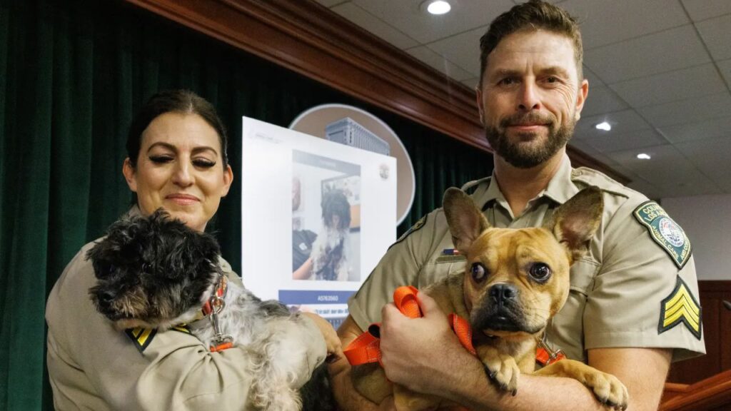 More Than 300 Animals Rescued From Horrific California Property, Woman Now Faces 35 Charges