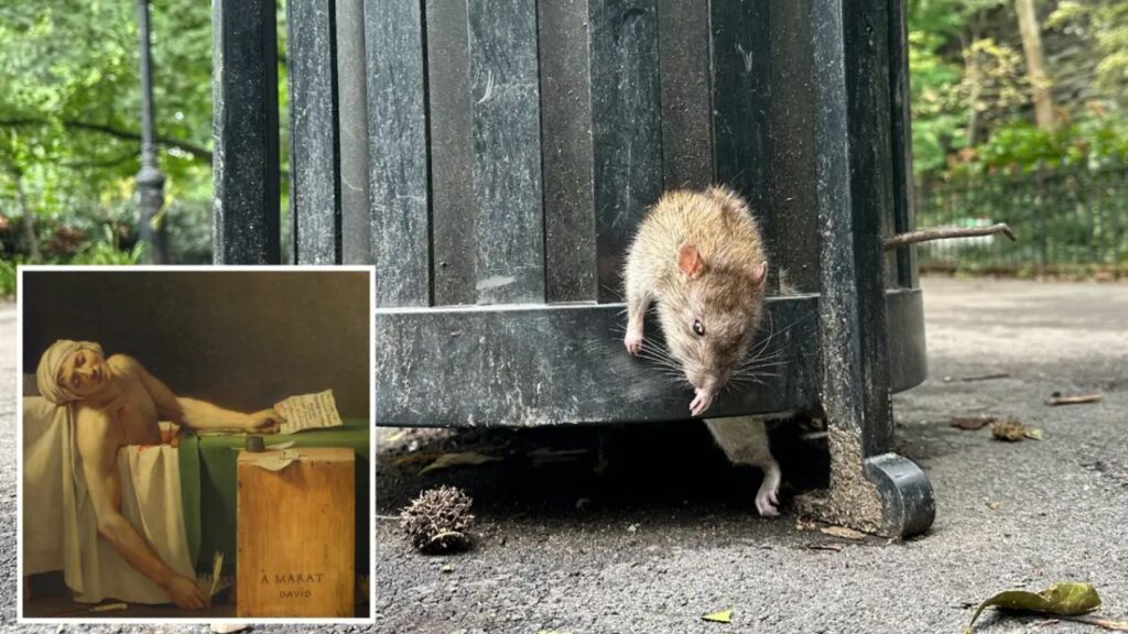 NYC Rat Gets Stuck in Trash Can and Dies, Leaving Bystanders Staring at the Bizarre Scene