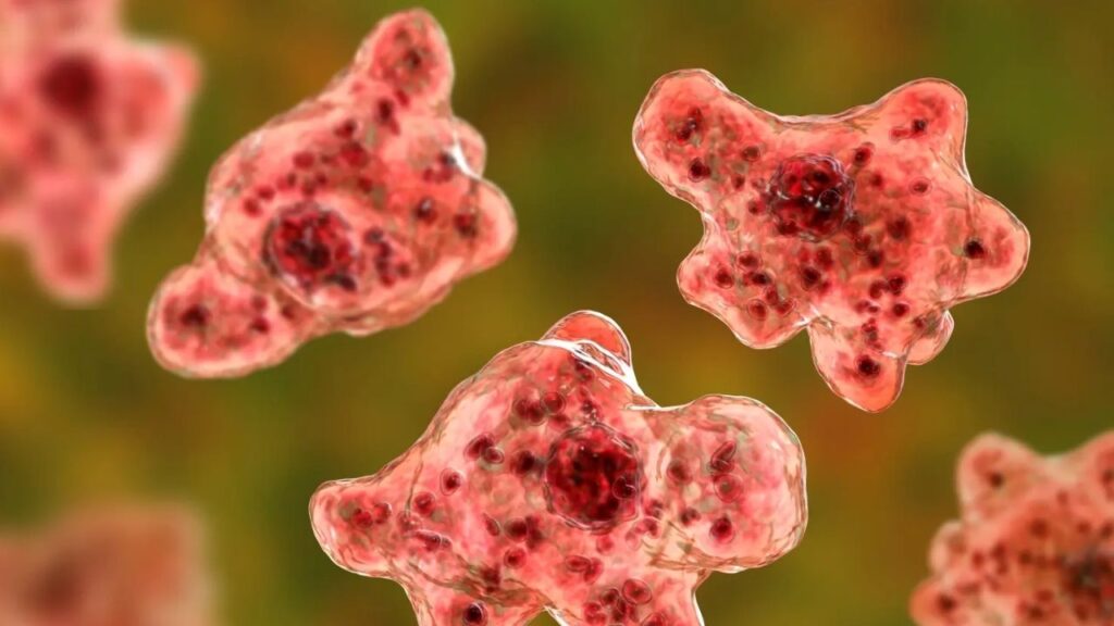 North Carolina Teen’s Sudden Death From Rare ‘Brain-Eating Amoeba’ Leaves Family Heartbroken After Rapid Illness