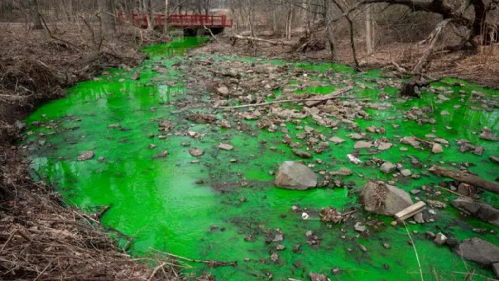 Popular Staten Island Park Under Investigation After Potential Sewage Discharge Raises Alarms Over Lake Water and Wildlife Popular Staten Island Park Under Investigation After Potential Sewage Discharge Raises Alarms Over Lake Water and Wildlife
