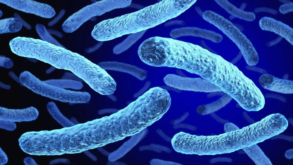Second Death Reported in South Bronx Legionnaires’ Cluster 14 Sickened, 10 Cooling Towers Affected