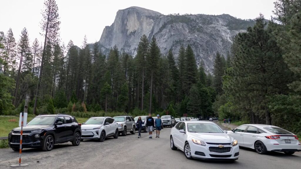Yosemite Officials Reveal Rabies Case Months Later, Sparking Outrage Among Visitors