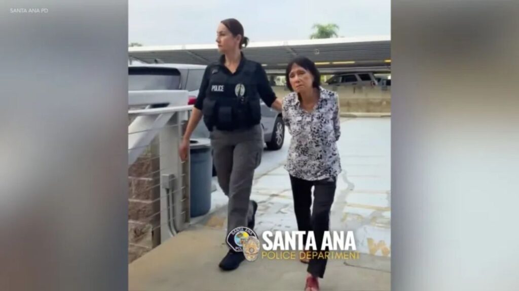 75-Year-Old Woman Arrested After Puppy Was Allegedly Run Over in Southern California
