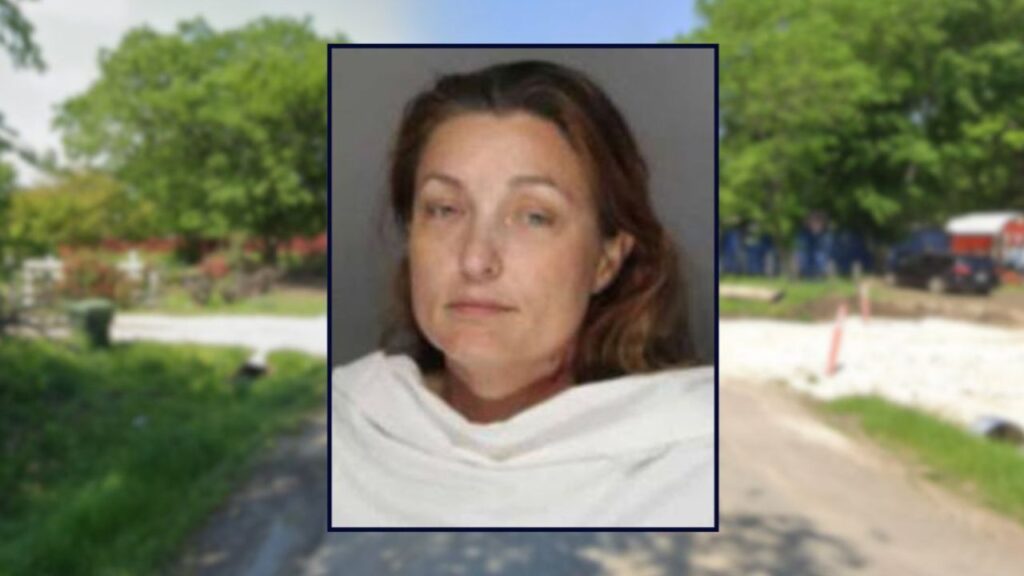 Two Brothers Killed in Texas Home Shooting as Their Mother Faces Capital Murder Charges