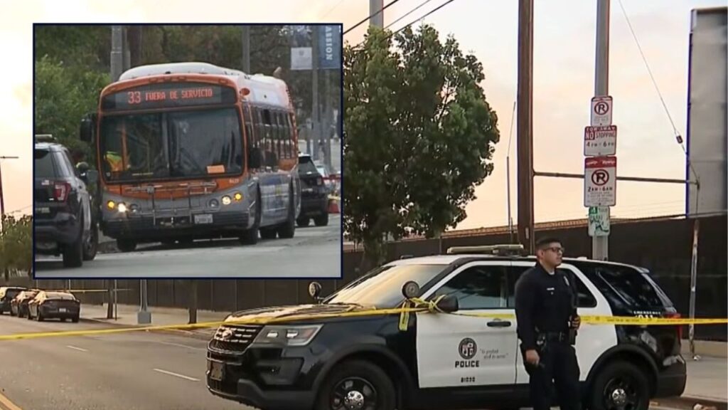 Two Children, Ages 4 and 10, Killed in Los Angeles Shooting; Father Suspected, Police Say